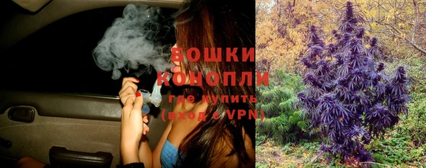 spice Покровск