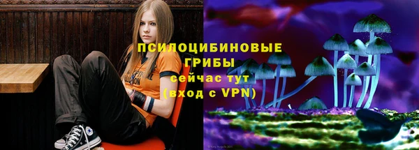 spice Покровск