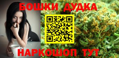гашик Будённовск