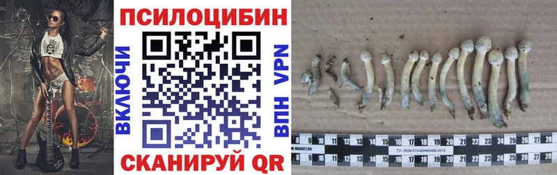 Псилоцибиновые грибы прущие грибы  Вязьма 