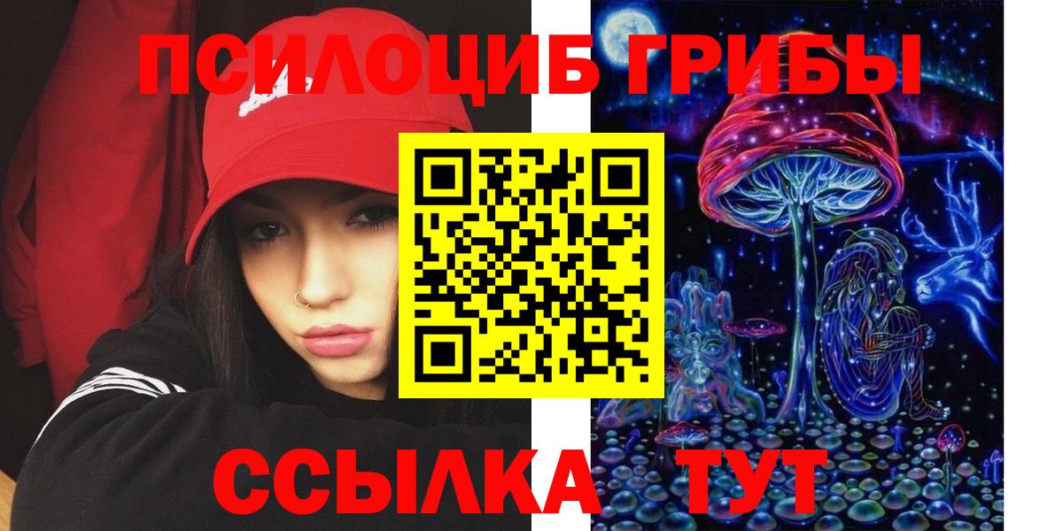 Галлюциногенные грибы Psilocybine cubensis  Вязьма 