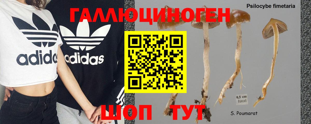 Псилоцибиновые грибы Magic Shrooms  Вход с VPN  Вязьма 